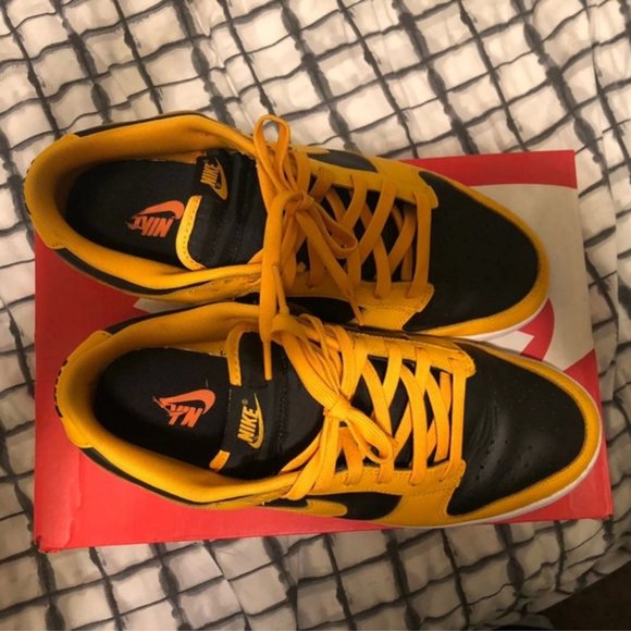 Nike Other - nike Dunks